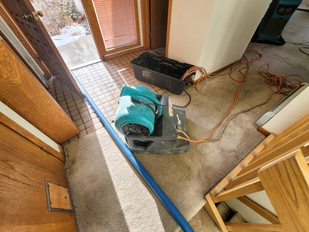 Best Commercial water damage restoration  in Marble Hill, MO