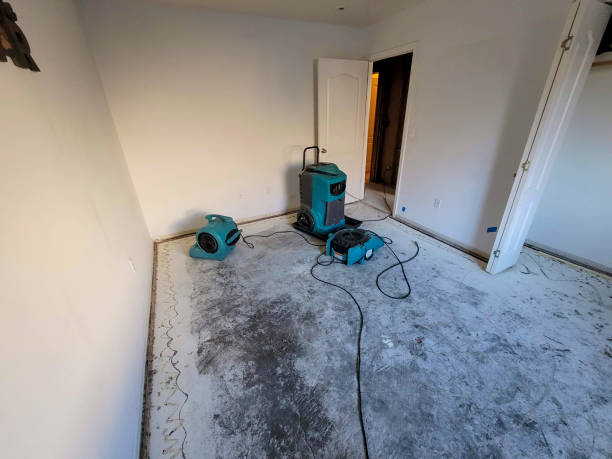 Best Carpet water damage restoration  in Marble Hill, MO