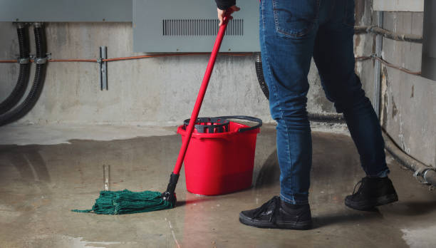  Marble Hill, MO Water damage restoration Pros