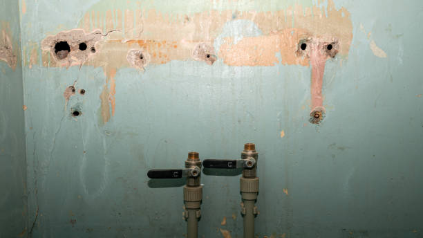 Marble Hill, MO Water damage restoration Company