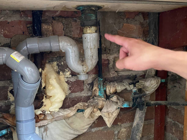 Best Professional water damage repair  in Marble Hill, MO
