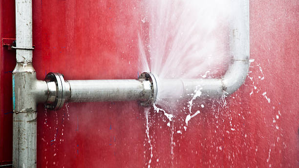 Best Water damage restoration specialists  in Marble Hill, MO
