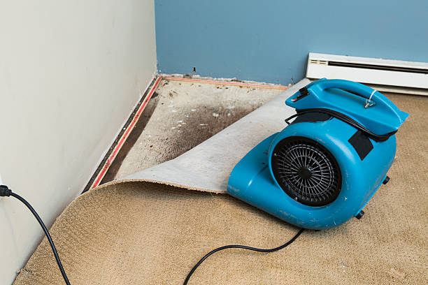 Best Ceiling water damage repair  in Marble Hill, MO
